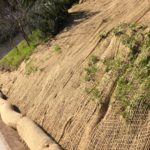 Slope at Mission Cemetery