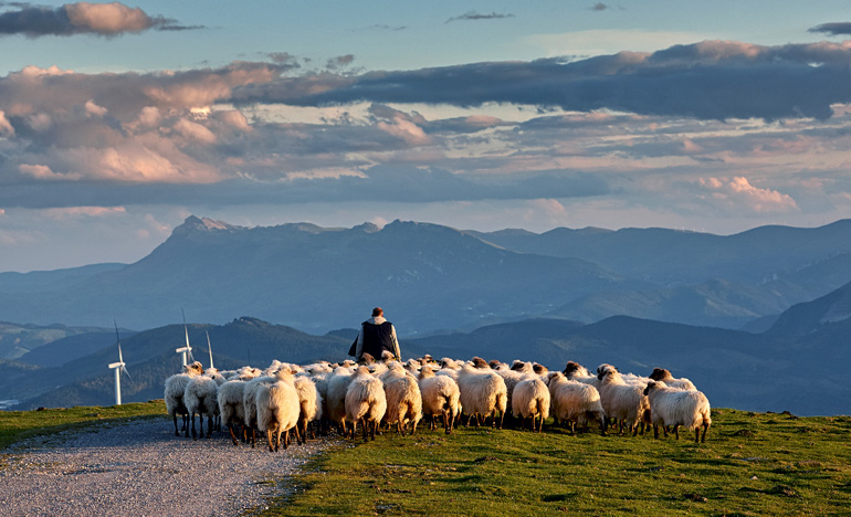 Good Shepherd with his sheep